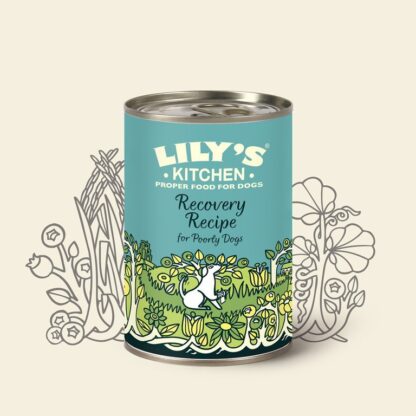 0213 6654 lily s recovery 416x416 - Lily’s kitchen Recovery for poorly dogs 400gr