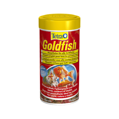 0226 1963 tetra goldfish