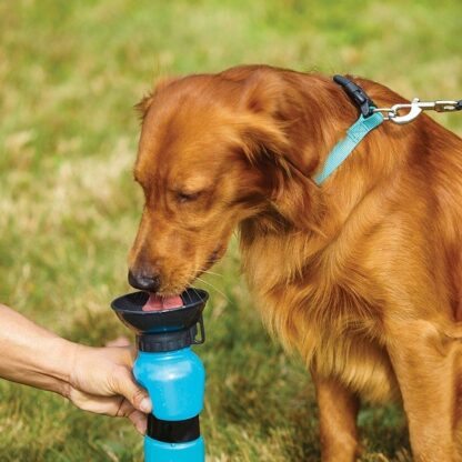 Μπουκάλι νερού για κατοικίδια 500ml - AQUA DOG - Image 2