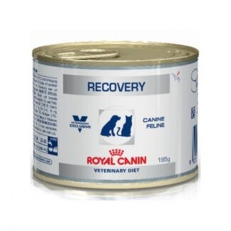 royal canin recovery cat 324x324 - Royal Canin Diet Cat/Dog Recovery 195gr
