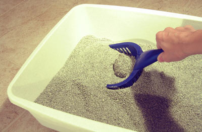 ammos gatas clumping petopoleion - Μια Άμμο γάτας, μα ποια άμμο?