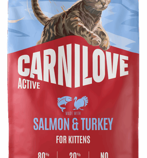 carnilove kitten