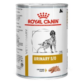 dog urinary so royal canin