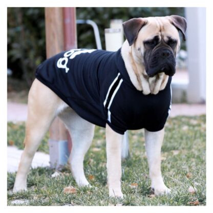 Web Photo Editor 10 416x416 - Φούτερ για σκύλο Adidog Μαύρο