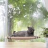 sunny seat pawise