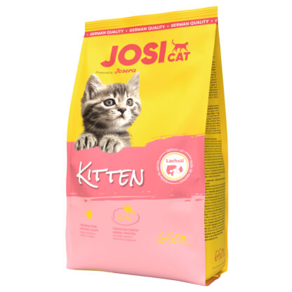 josicat kitten