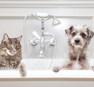Είδη υγιεινής για σκύλους και γάτες