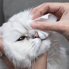 Καθαρισμός Ματιών