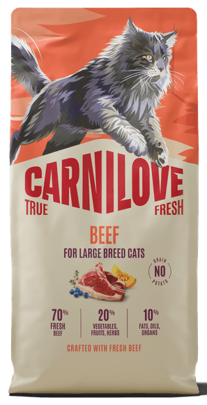 Carnilove True Fresh® Beef for Sterilised Cats 6kg 1 Carnilove True Fresh® Beef for Sterilised Cats 6kg