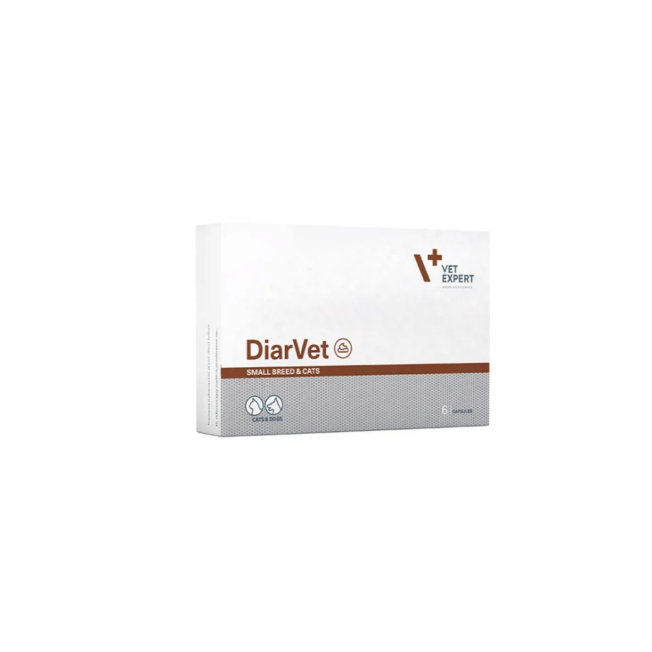 Vet Expert Diarvet Small Breeds & Cats 6caps 1 diarvet small breed
